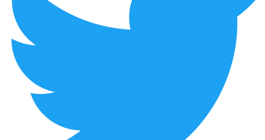 Twitter_bird_logo_2012.svg